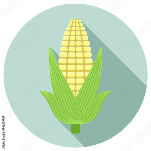 Corn cob illustration inside a light blue circle for design elements