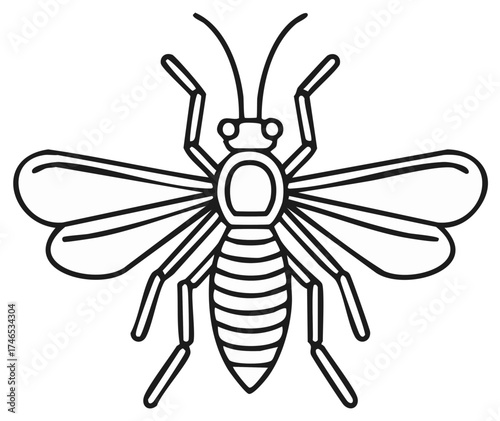 Detailed line art drawing of a winged insect with an oval head and striped abdomen standing on six segmented legs