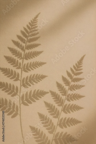 fern leaf shadow on fiber 