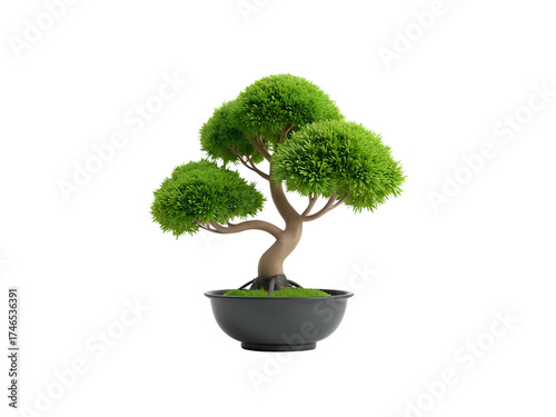 Japanese tree 3D transparent background