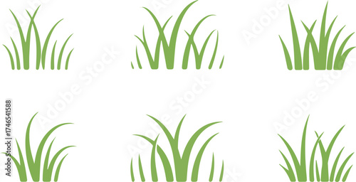Illustration of different types of grass