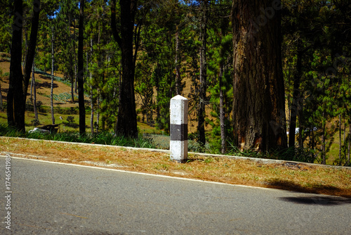 Roadside Marker Along Forest Edge