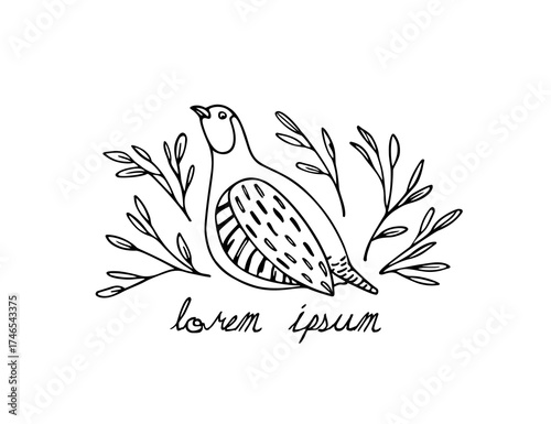 Vector card with hand drawn cute Grey Partridge  in graceful floral wreath. Beautiful animal design elements, ink drawing, logo template