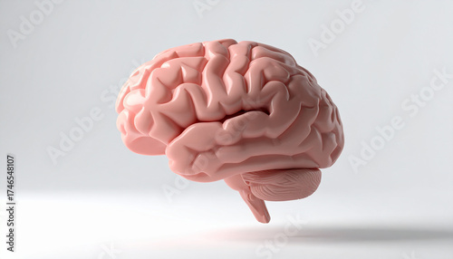 Anatomical model of human brain, floating over white backdrop, medical accuracy.