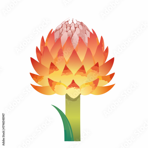 Artichoke flower head with stem and leaf