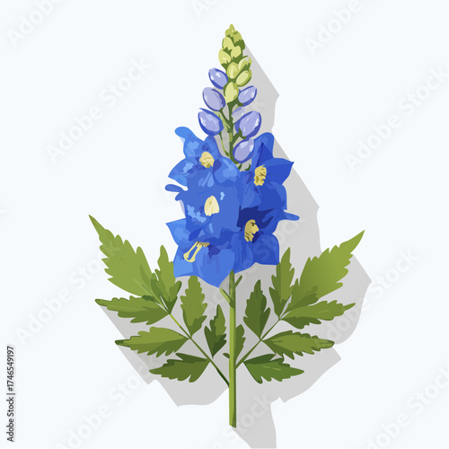 Blue delphinium flower with green leaves