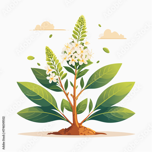 Flowering plant with green leaves and soil