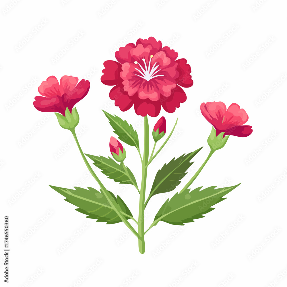Fototapeta premium Pink floral plant with buds and leaves with transparent background