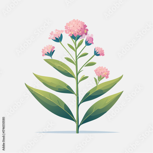 Pink flower stalk with green leaves