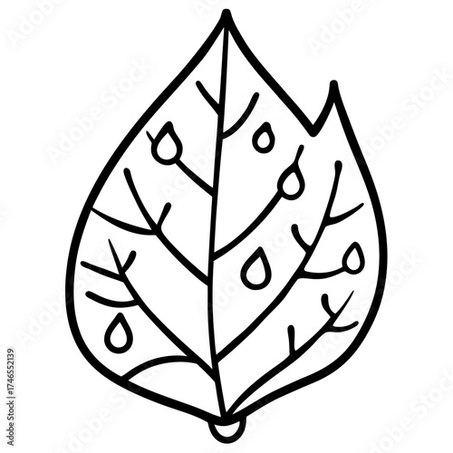 Dew-Kissed Leaf Vector