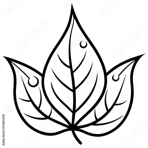 Dew-Kissed Leaf Vector