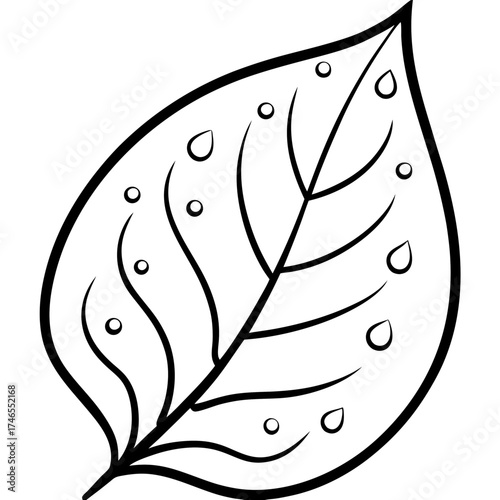 Dew-Kissed Leaf Vector