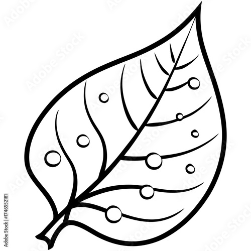 Dew-Kissed Leaf Vector