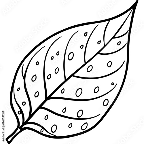 Dew-Kissed Leaf Vector