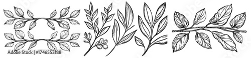 A set of floral ornament dividers, featuring ornamental leaf scrolls, decorative branches, and hand-drawn dividers in a modern style, is available as a bundle of paired sprigs and botanical design