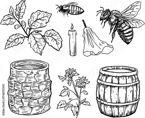 Honey bees and beekeeping farms are depicted in a vintage hand-drawn modern illustration set that also includes honeyed honeycombs