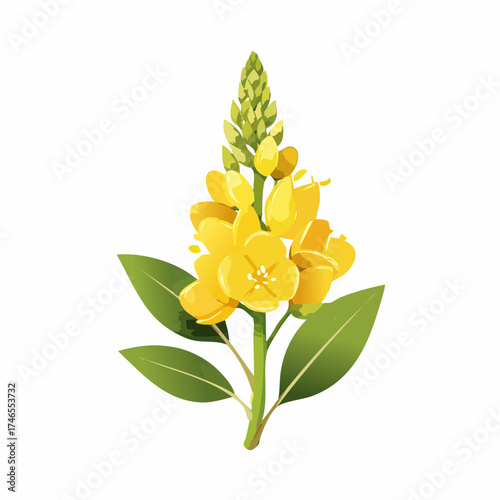 Yellow flower stalk with green leaves isolated
