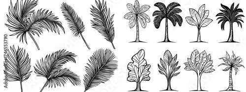 Palm tree silhouettes are combined with tropical leaves, retro-style palm trees, and vintage silhouettes in this modern illustration collection