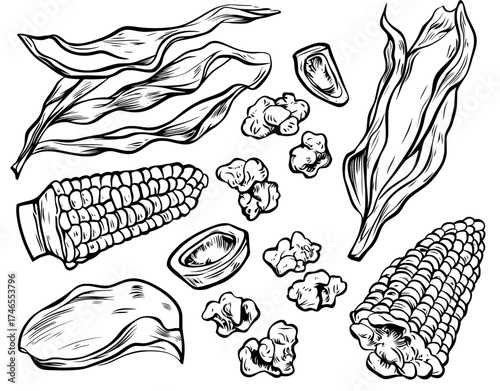 An ear of corn, delicious vegetables, and cartoon corn are highlighted in this modern illustration set, which also features a golden maize harvest, popcorn, and corny grains, including sweet corn