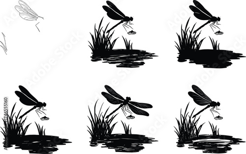 Dragonfly sketch progression, nature drawing stages, pond illustration, insect hovering, grass detail, black and white vector, artistic process, hand-drawn wildlife scene