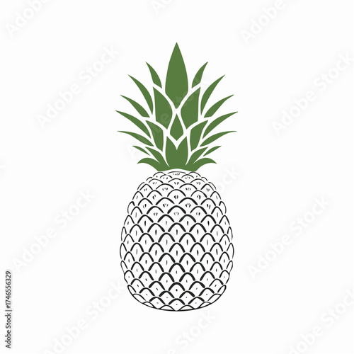 Elegant and Minimalist Pineapple Illustration for Design, Tropical Vibe Decoration