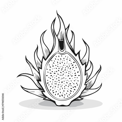 Elegant Dragon Fruit Illustration in Black and White Detailed Design