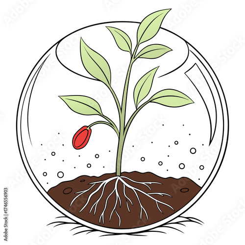 Illustration of a plant growing inside a glass terrarium