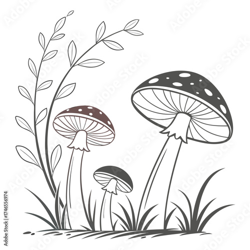 Illustration of mushrooms and leaves
