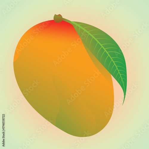 Realstic Mango Vector Illustration