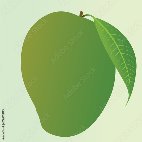 Realstic Mango Vector Illustration