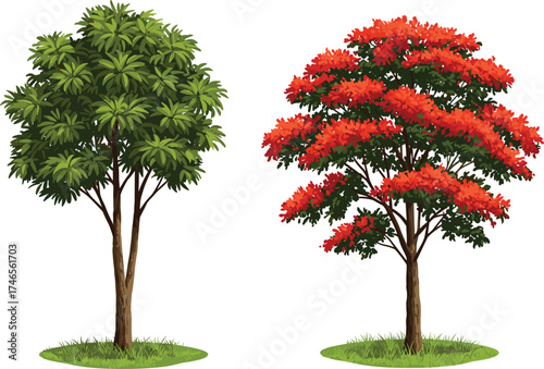 Two trees side by side, green foliage tree, red leaf tree, canopy contrast, botanical illustration, landscape design, nature diversity, visual comparison