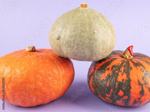 Three colorful pumpkins on purple background
