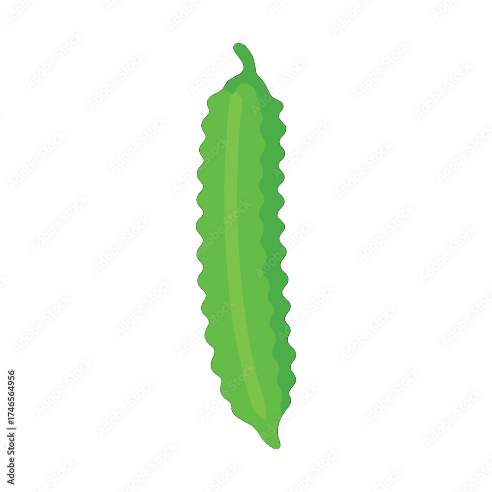 Obraz premium Winged bean vector illustration on a white background