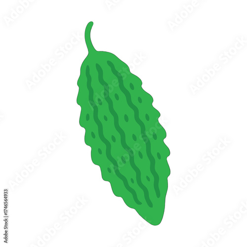 Green bitter melon illustration isolated on white background