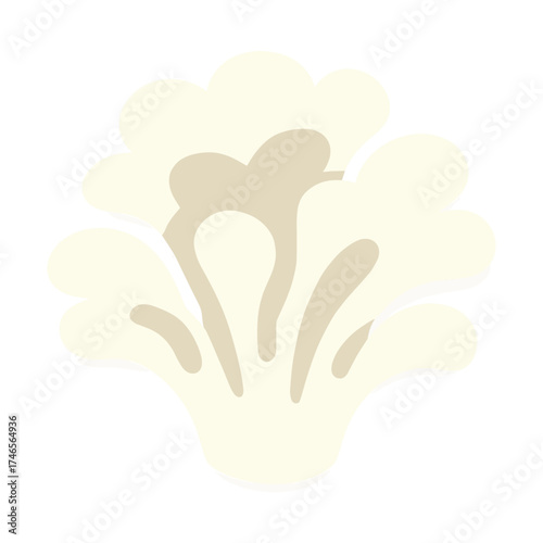 Abstract minimalist illustration of cauliflower on white background