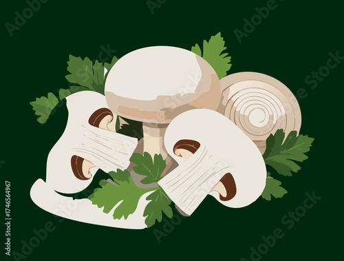 Group of White Button Mushrooms with Green Parsley Garnish for Recipe Ingredients