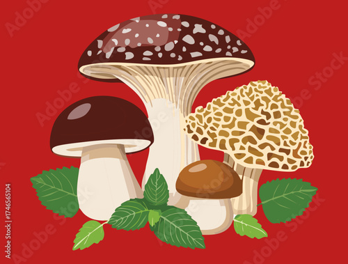 Beautiful Forest Floor Illustration Featuring Assorted Fungi and Delicate Foliage Plants Background