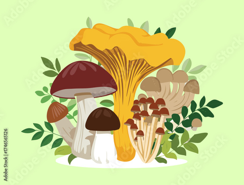 A Forest Collection of Assorted Chanterelle and Bolete Fungi with Green Plants