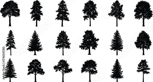 Collection of tree silhouettes in various shapes and sizes, natural black tree icons for forest, nature, landscape design, isolated on white background vector