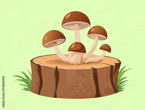 Natural Plants Group of Wild Brown Fungi Growing on a Large Wooden Tree Stump