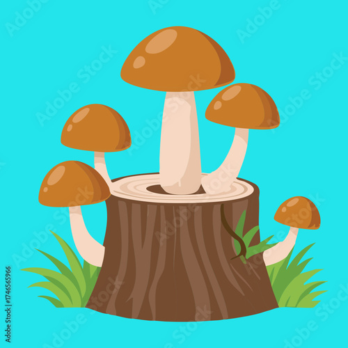 Small Plants Cluster of Orange Cap Fungi on an Old Tree Stump in Woodland