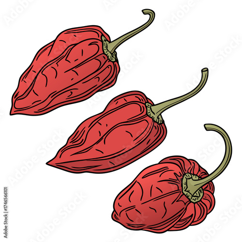 Three red habanero peppers, each with a green stem, are arranged diagonally from upper left to lower right on a white background. The peppers exhibit wrinkled surfaces and are outlined with dark lines
