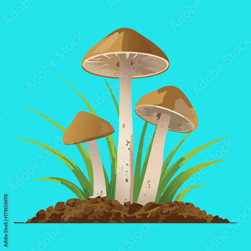Cluster of Earthy Brown Mushroom Plants Growing Naturally in the Grass on a Light Blue Day