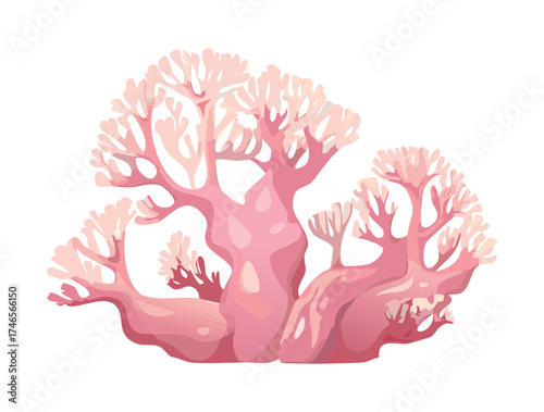Beautifully Branched Pale Pink Coral Fungi Plants