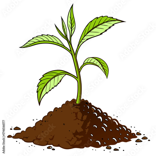 A vibrant green sapling, featuring six prominent leaves, rises from a mound of dark brown soil. The plant is centrally positioned, bathed in soft, diffused light, creating a hopeful ambiance. The soil