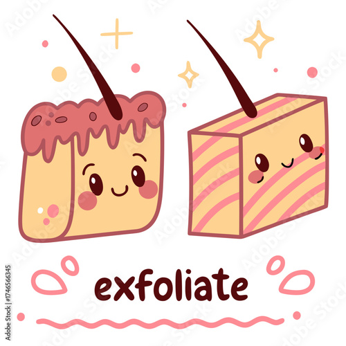Cute cartoon skin cells before and after exfoliation showing healthy skin and hair follicle in a skincare illustration about beauty and wellness