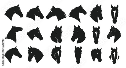 Horse Head Silhouettes Collection profile front view