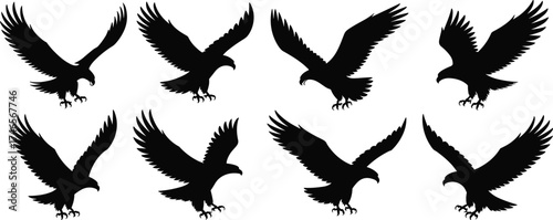 Collection of Dynamic Eagle Silhouettes in Flight: Majestic Birds of Prey, Freedom, Power, Strength, Symbolism, Nature, Wildlife, Flying, Hunting, Vector, Illustration, Blacks