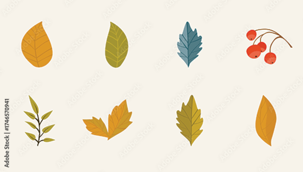 Obraz premium autumn leaves set.eps