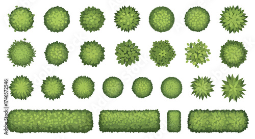 Top down view of various green shrubs and bushes on a white background